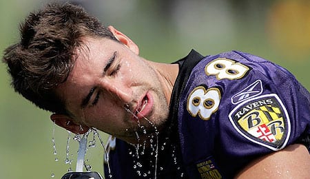 Dennis Pitta will miss 2013 for the Baltimore Ravens.